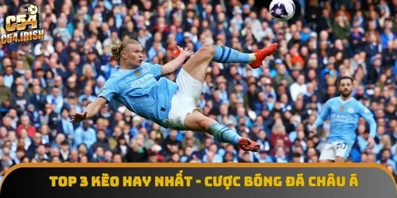 Top 3 kèo hay nhất có cược bóng đá châu Á